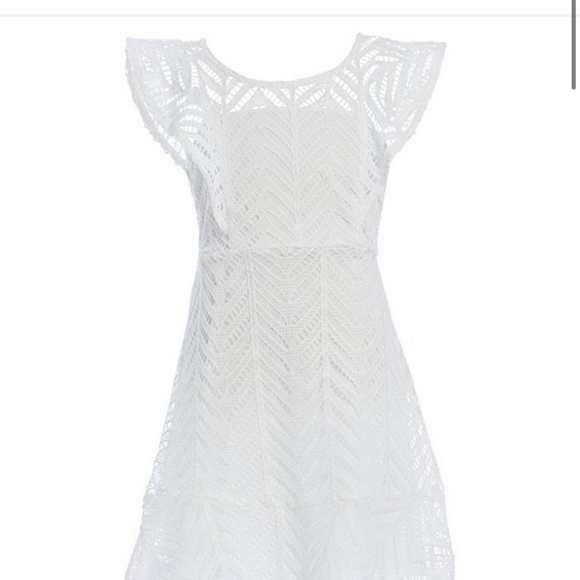 Meet your Posher, Colbie - Picture 1 of 1